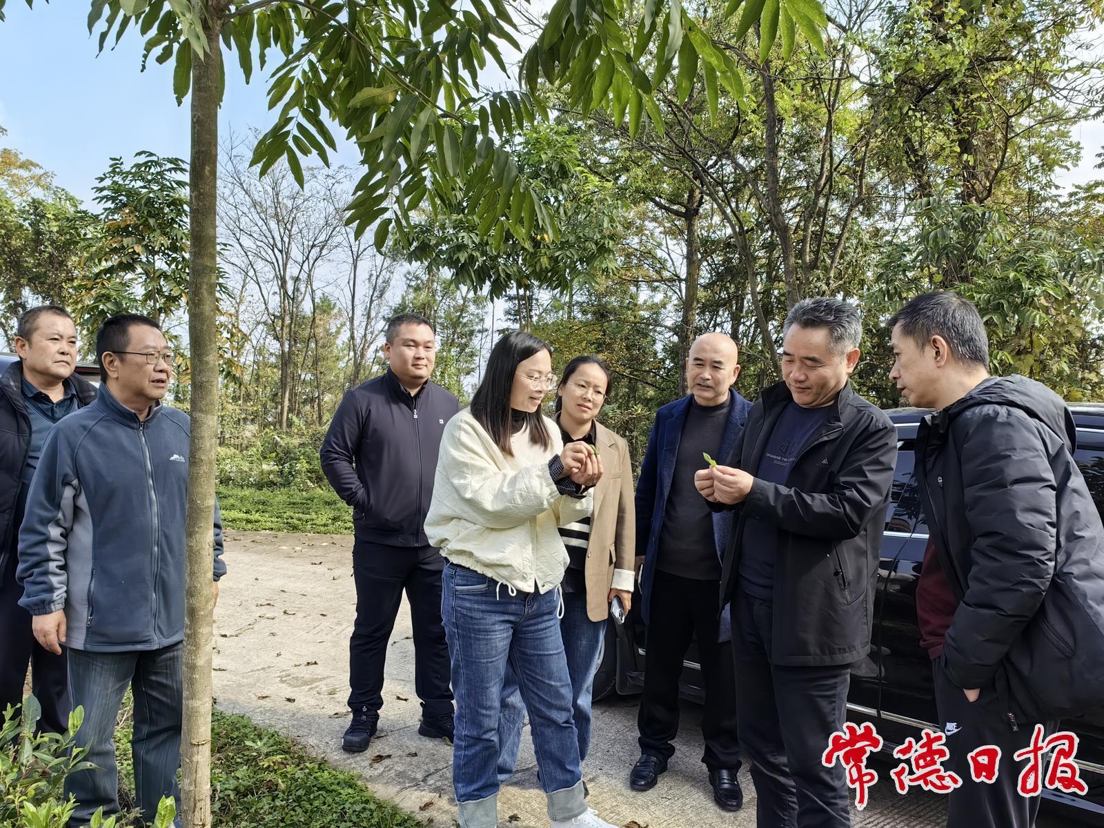 政企联合赴石门县胜利村调研产业帮扶工作