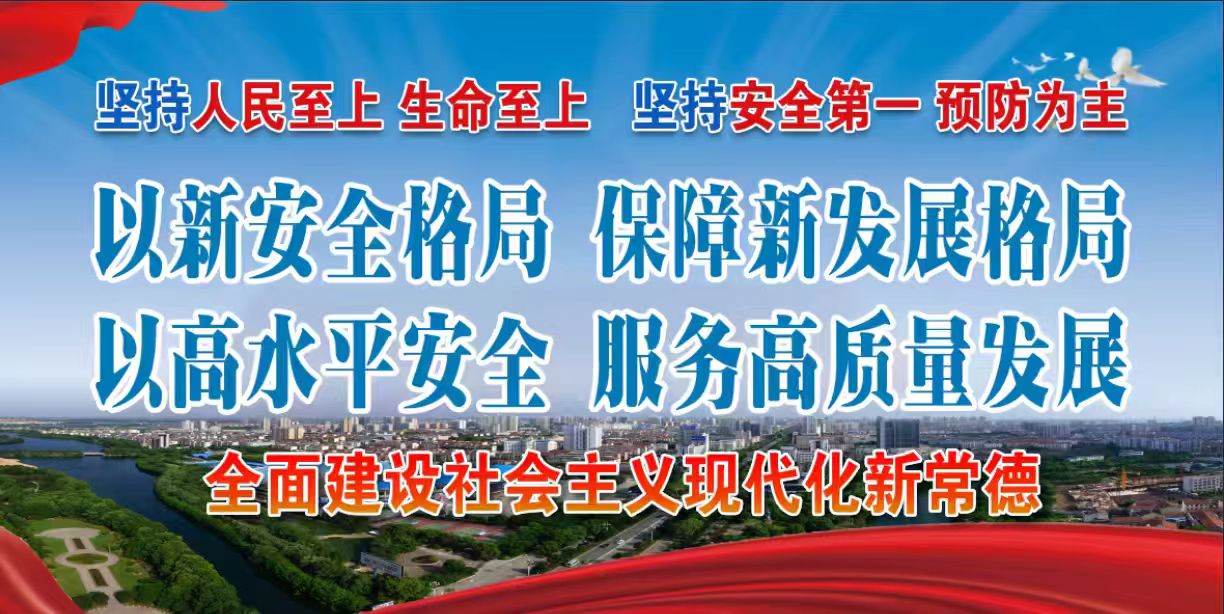 以新安全格局 保障新发展格局  以高水平安全 服务高质量发展